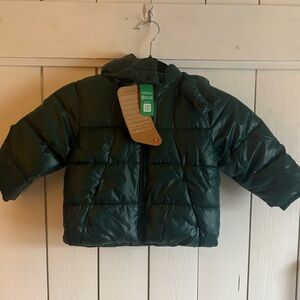 GAP Dark Green Kids Puffer Jacket